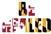 Load image into Gallery viewer, Maryland Be Healed TShirts
